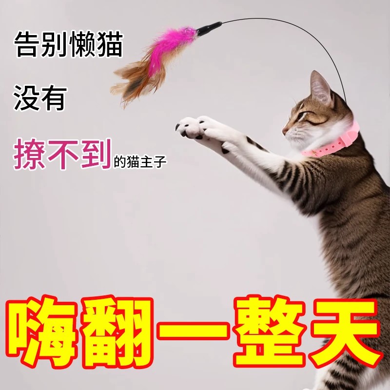 猫玩具头戴项圈羽毛逗猫棒耐咬