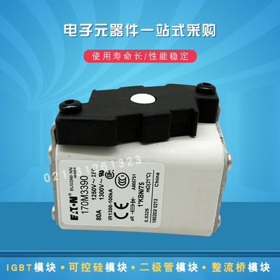 快速熔断器保险丝170M3469 3470 3471 3472 3473 348T8 3489 3490
