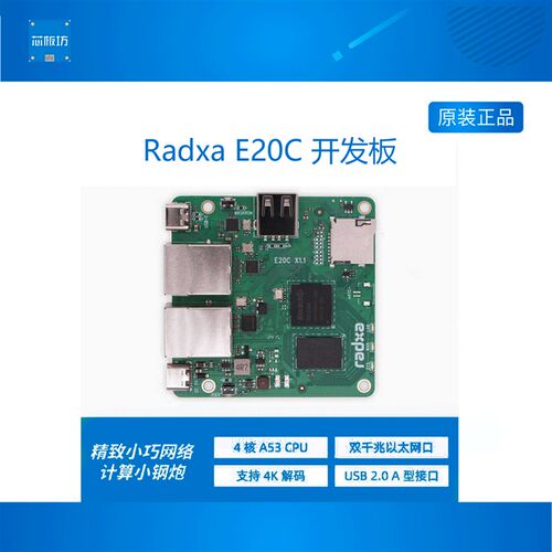 瑞莎E20C单板 开发板  网关D终端  迷你网关 双千兆口网口
