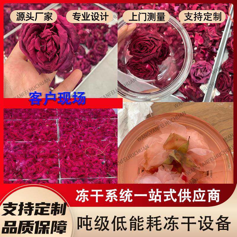 冻干花机云南红玫瑰花茶 可试样ZXH墨真空干燥机械 液可回设收冻