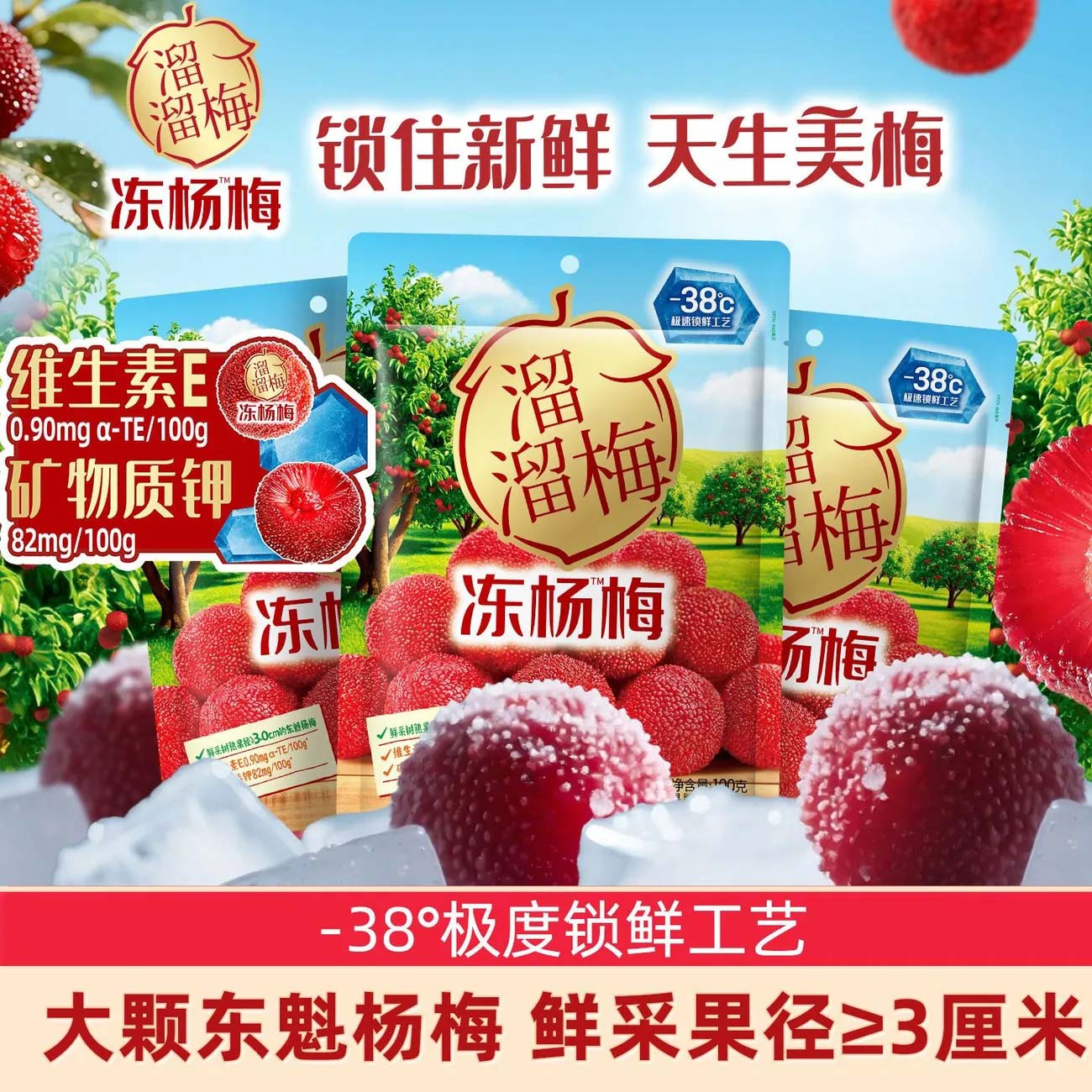 溜溜梅东魁冻杨梅100g