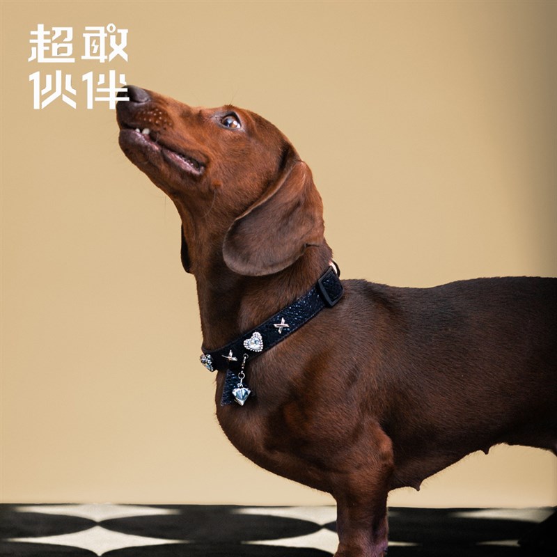 【超敢伙伴】辉银黑蛇设计款猫狗同款宠物项圈爱心三角形可调节