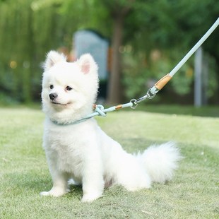 中恒狗狗牵引绳p绳小型犬遛狗绳中大型犬防爆冲P链泰迪狗链子用品