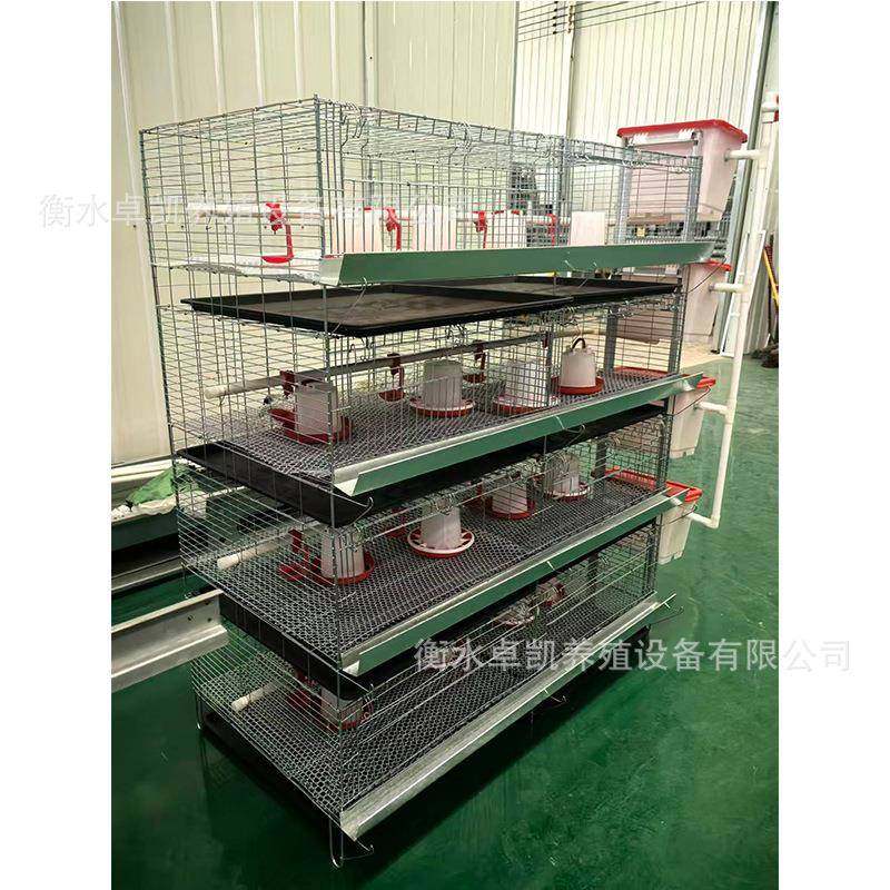 四层育雏笼小鸡青年鸡立式笼网支架一体加粗加密镀锌材质厂家直发,畜牧/养殖物资,特种养殖设备,淘宝优惠券,粉丝福利购,淘宝优惠卷