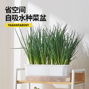 草莓盆阳台种草莓神器家用透明塑料长方形花盆懒人自吸水盆