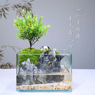 桌面苔藓微景观绿植生态瓶斗鱼家用小鱼缸客N厅小叶赤楠盆景水陆