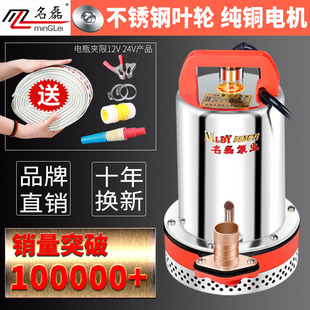 60V大流量高扬程抽水泵 直流潜水泵电瓶家用农用12Vt24v抽水机48V