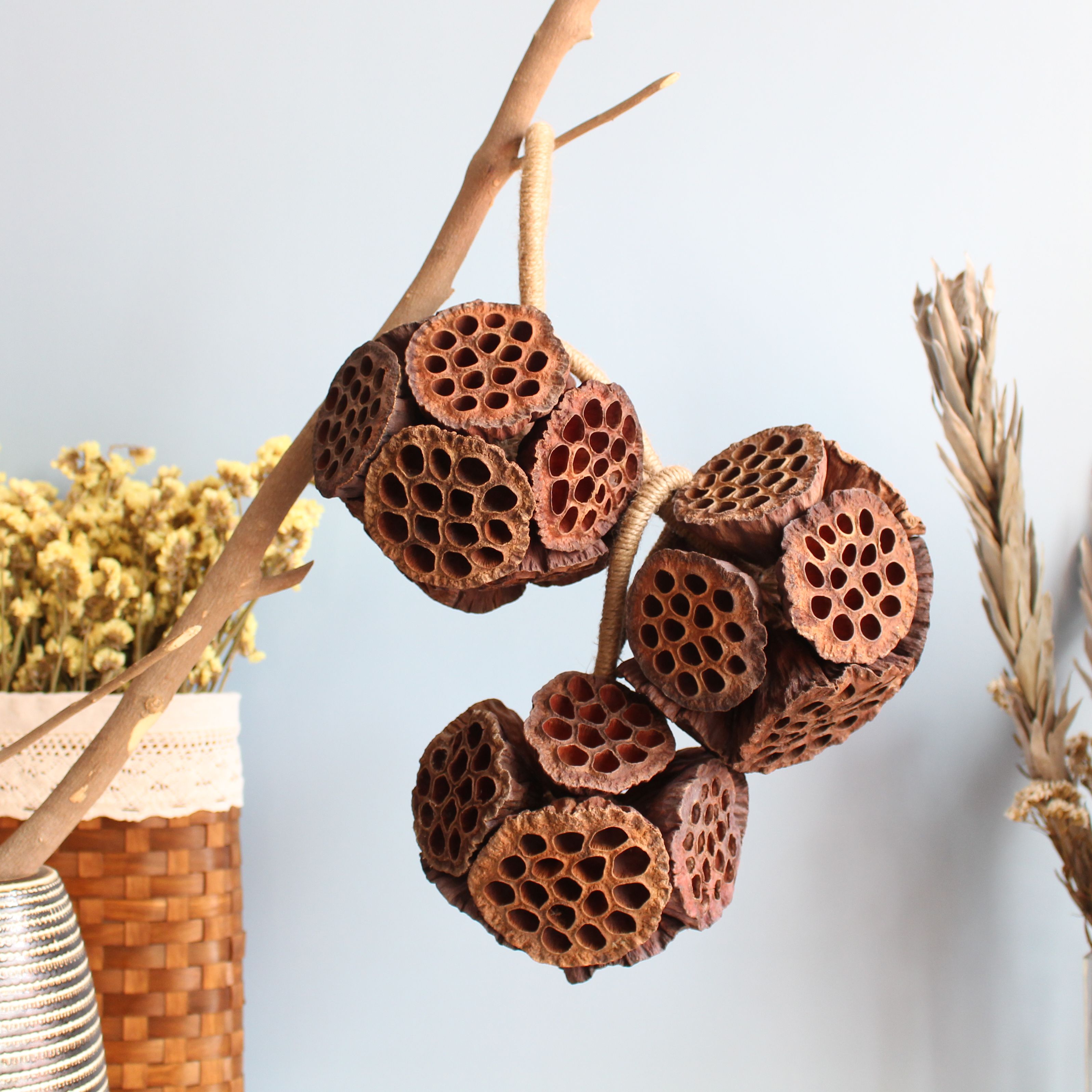 莲蓬头串大尺寸莲花天然干花装饰花假花客厅新居 Y东南亚装饰
