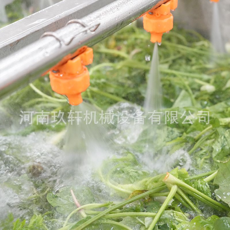 全自动果蔬净菜加工流水线 定制成套果蔬加工生产线