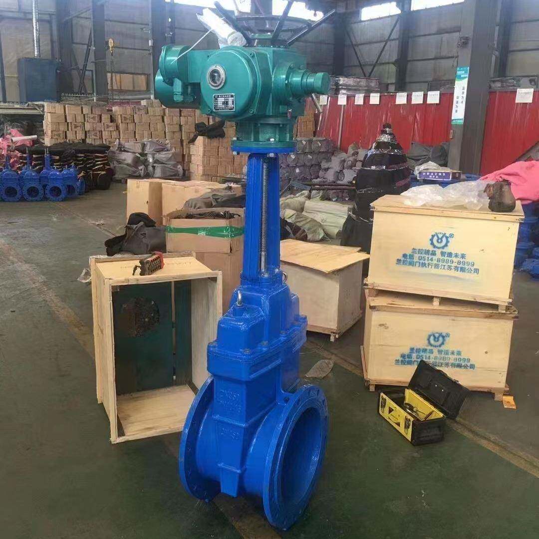 Z941X-16Q软密封电动明杆闸阀 球磨铸铁材质 橡胶阀板 开关型电装