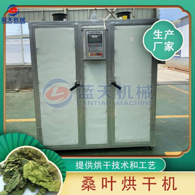 小型桑叶烘干机 智能控温荆桑桑椹树烘干箱 电加热家桑烘干机设备