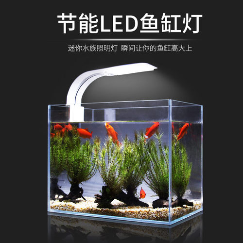鱼缸灯LEdD灯迷你小夹灯水草灯水族箱蓝白防水超亮小型节能照明灯