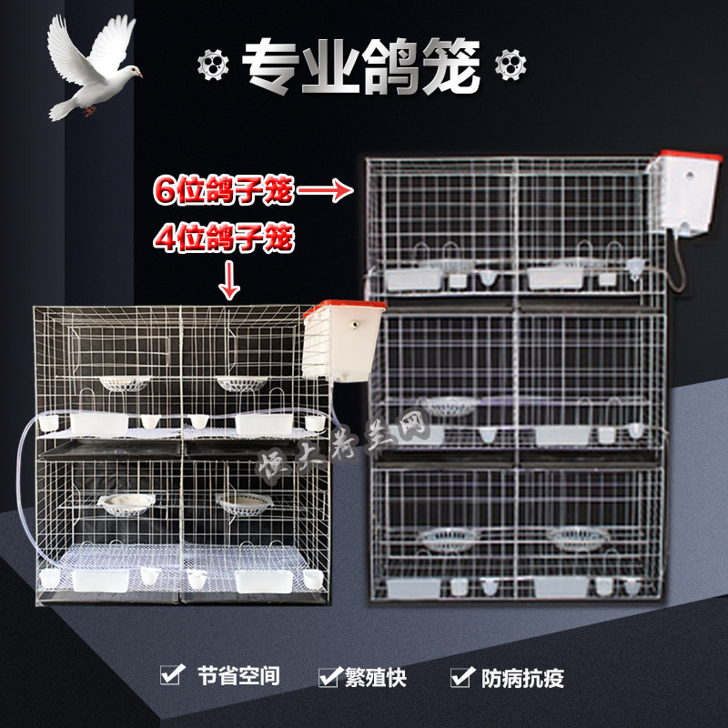 鸽子笼养殖笼大号家用阳台室外鸽子配对繁殖专用鸽.舍鸽棚包邮