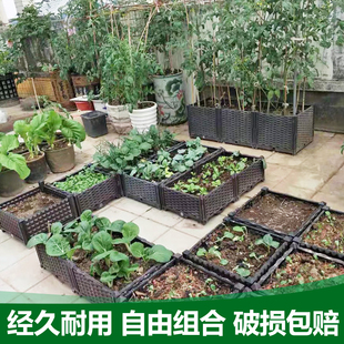 家庭室内花箱阳台蔬菜种植箱特大号种菜盆长方形塑料大花盆花槽架