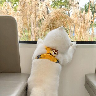 遛狗牵引绳胸背背心式猫咪牵引绳萨摩耶柯基柴犬大狗防爆冲狗背带