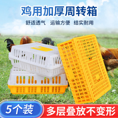 鸡笼塑料周转箱成鸡鸭鹅运输筐加厚大码鸡笼O鸡鸭鹅鸽笼周转运输