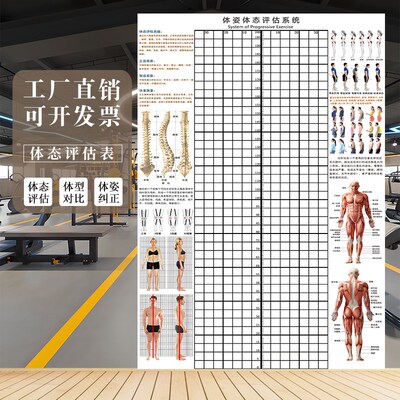 体态评估表体姿图壁画健身房瑜伽馆身体姿态评估图培训机构体测表