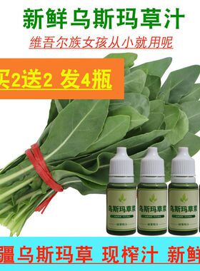 新疆乌斯玛草汁草浆乌斯曼草汁眉毛长发际线胡须通用新鲜欧斯曼草