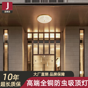 别墅入户大门吸顶灯2024新款室外阳台顶灯户外庭院屋檐灯防水防虫