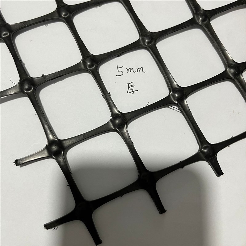 塑料隔栅塑料土工格栅抗寒热养鸡鸭鹅家禽漏粪养殖网圈玉米网现货