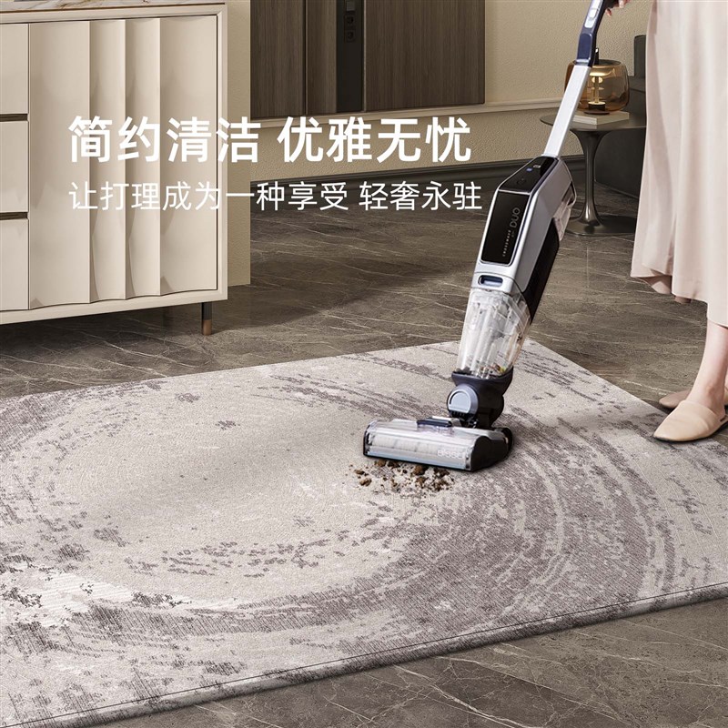 入户门地垫2025新款轻奢高级感家用进门门口门垫耐脏防滑入门脚垫