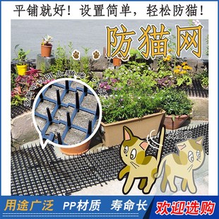 阳台花盆防刺窗台地面垫网片围墙网家庭防护猫咪S塑料驱赶隔离用