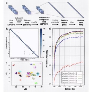 本团队机器学习代做，机器学习模型、回归预测模型、数据清洗等