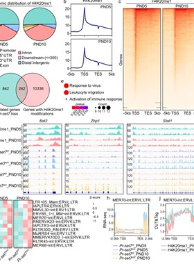 TCGA GEO多组学整合肿瘤代谢单细胞聚类转录组