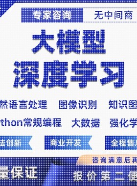 python代做编程AI智能体目标检测神经网络NLP知识图谱机器学习