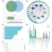 病原真菌鉴定 真菌ITS区测序分析 真菌群落结构 专业分析