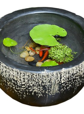 庭院小花b园阳台鱼池造景摆件户外鱼缸仿石槽水景观小院天台布置
