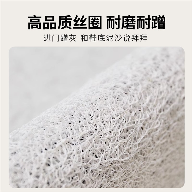 PVC丝圈入户门地垫室外门口进门刮泥除尘脚垫R可裁剪防滑耐脏地毯