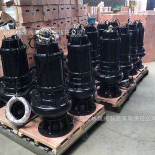 无堵塞潜水污水泵 3kw三相排污泥水泵