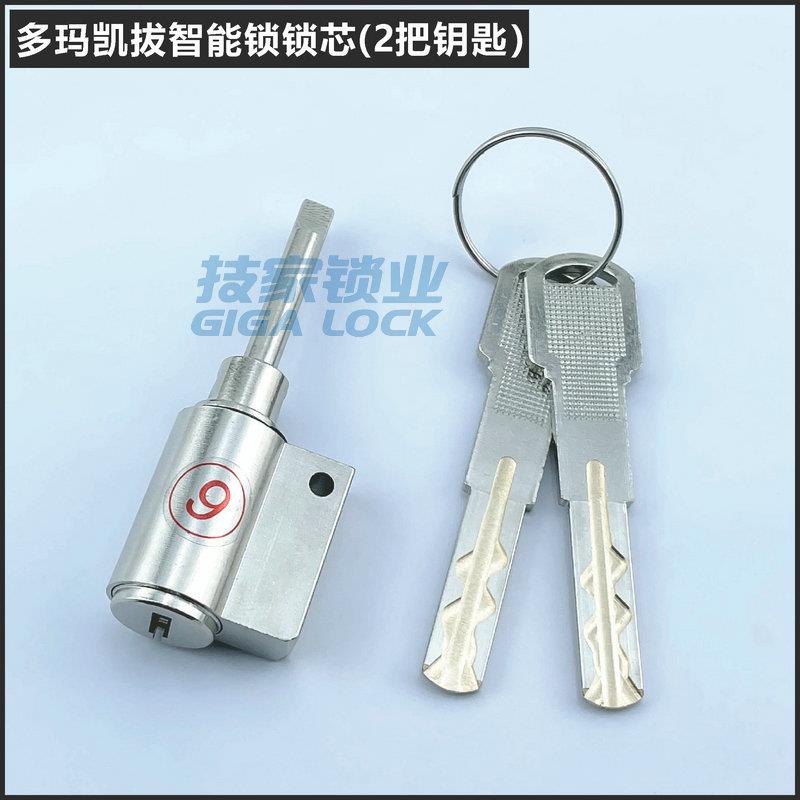 适用dormakaba多玛凯拔锁芯智能锁指纹锁锁头Longbel电子门锁锁芯