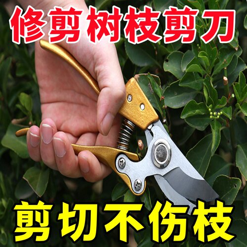 树枝修剪剪刀手动嫁接剪便携式果树粗枝剪多功能不锈钢果枝修枝剪