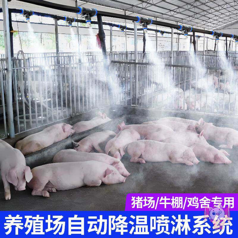 养殖场雾化微喷淋定时喷雾系统猪场鸡舍养牛降温设备消毒加湿喷头
