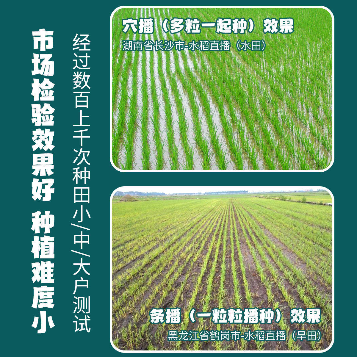 新款水稻播种机油菜籽直