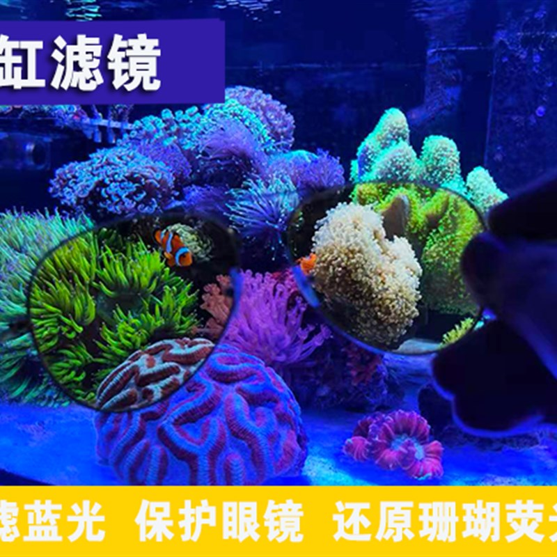 东杰聊海水珊瑚鱼缸滤镜过滤蓝光眼镜滤镜海水缸珊瑚缸拍照去蓝光