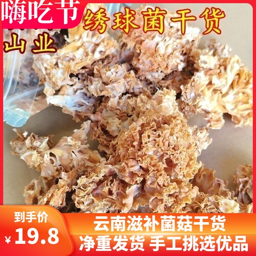 新货绣球菌菇干货 云南山珍特产美味食材秀球菌非新鲜香菇食用菌