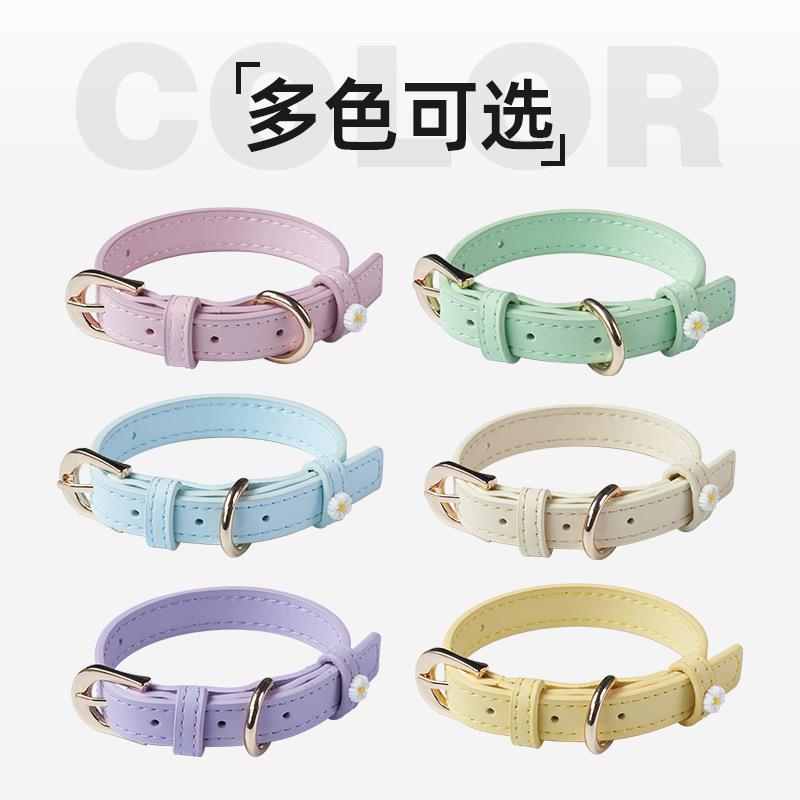 狗狗项圈小雏菊牵引绳超纤脖圈猫咪泰迪雪纳瑞皮革宠物项链