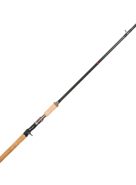 雷强竿套装碳素重雷轻雷打黑鱼竿枪直柄XJH甩锚杆远投海钓抛路亚