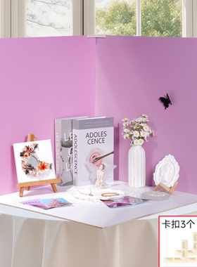 纯色拍照背景板PVC摄影墙3d立体直播间ins风白色背景布造景高级感氛围装饰静物拍摄一板多用二合一摄影必备