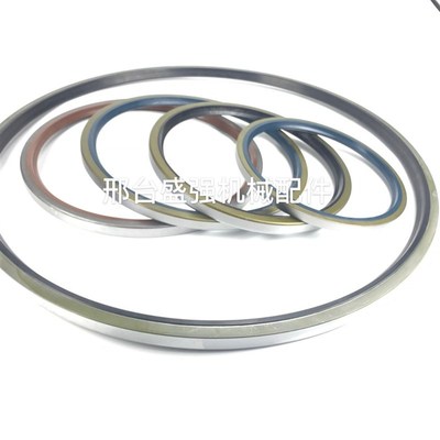 电厂磨辊机用大型油封大直径尺寸油封AB6366A0 SBB/SA710*760*25