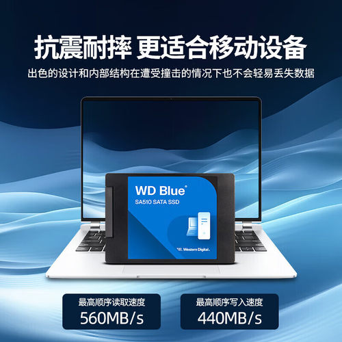 闪迪电脑4TB SSD固态硬盘2.5英寸 SA510 SATA接口WDS400T3B0A