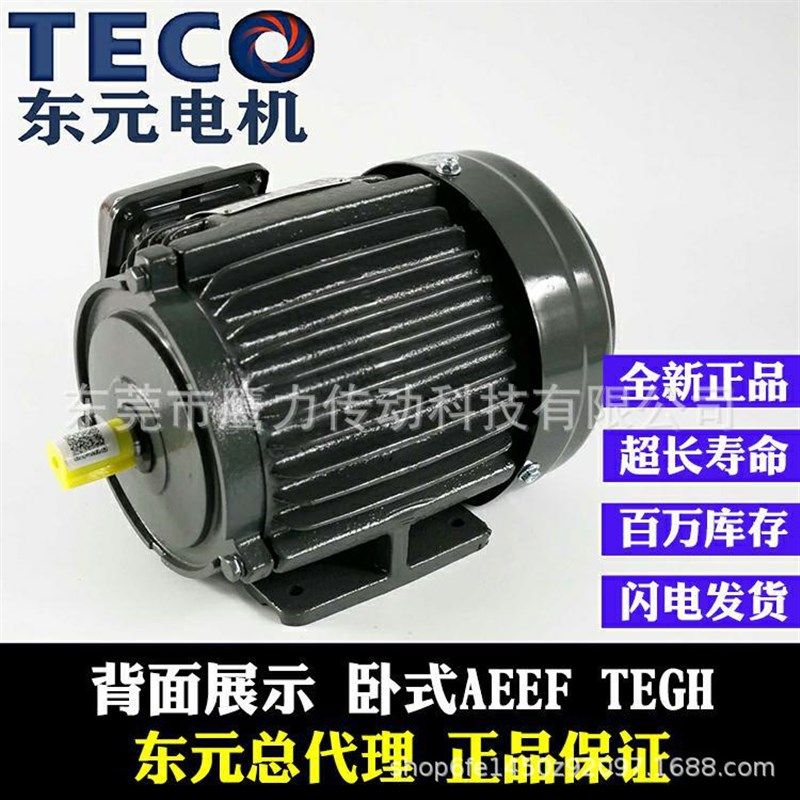 TECO东元电机0.18 0.37 0.75KW 1.5KW立AEVF AEMV3N 刹车制动TVGH