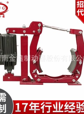 电力液压制动器 YWZ9-400/E121液压刹车器 起重机用电磁制动器
