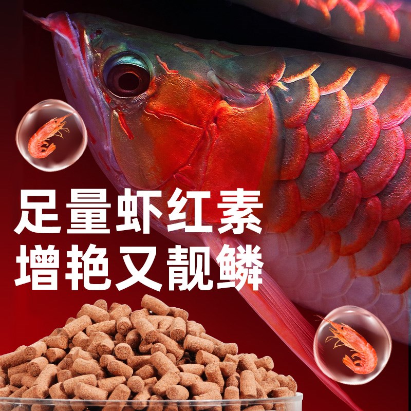 龙鱼饲料银龙鱼专用鱼饲料金龙鱼红龙鱼增色增艳鱼食观赏热带鱼粮