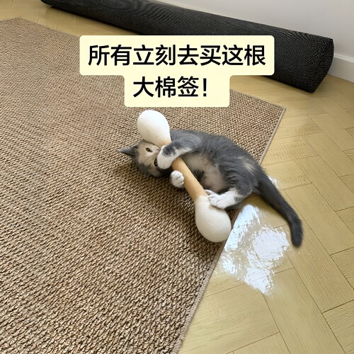网红猫咪羊毛棉签逗猫棒洁齿