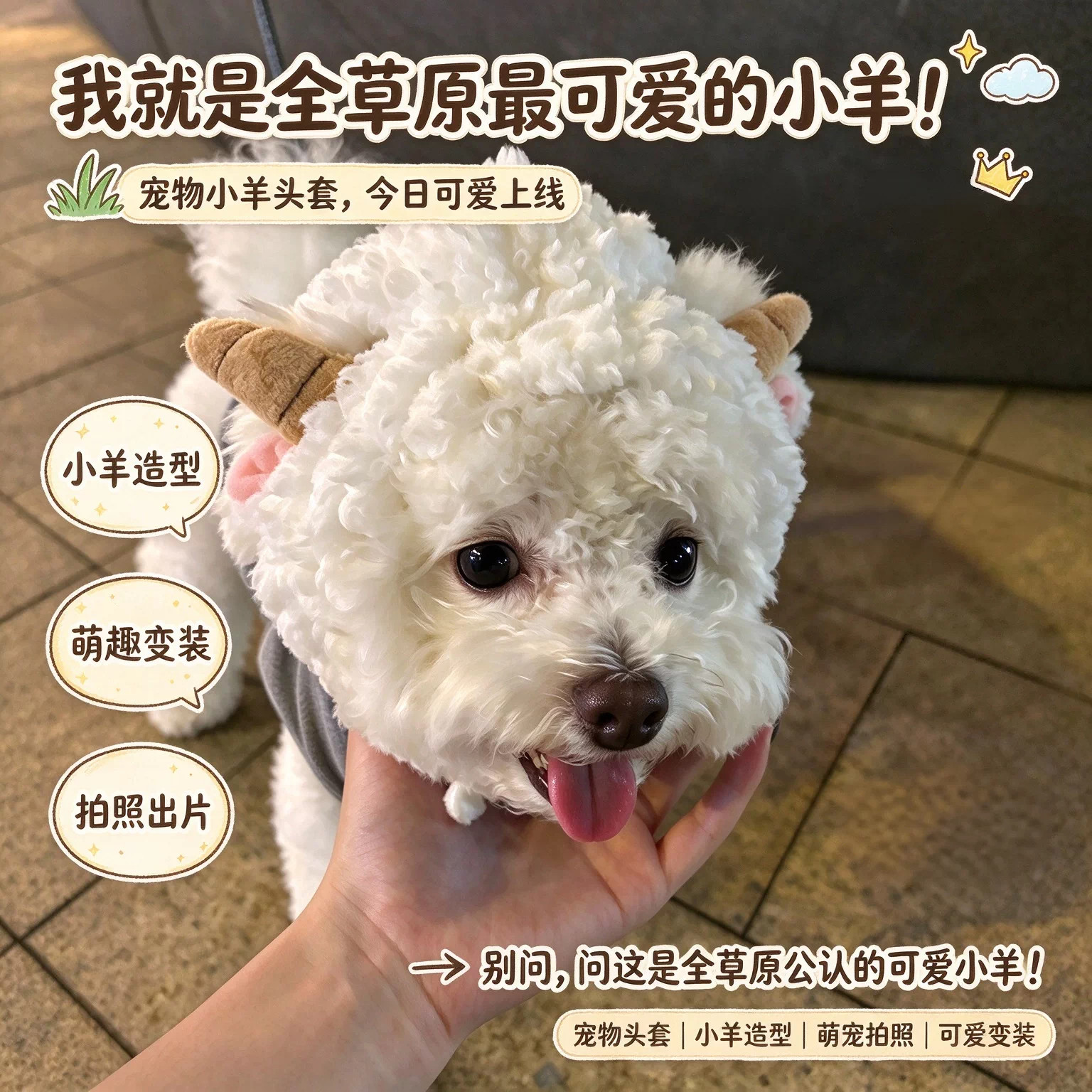 全草原最可爱的小羊！宠物懒羊羊头套小型犬毛绒包头帽拍照小道具
