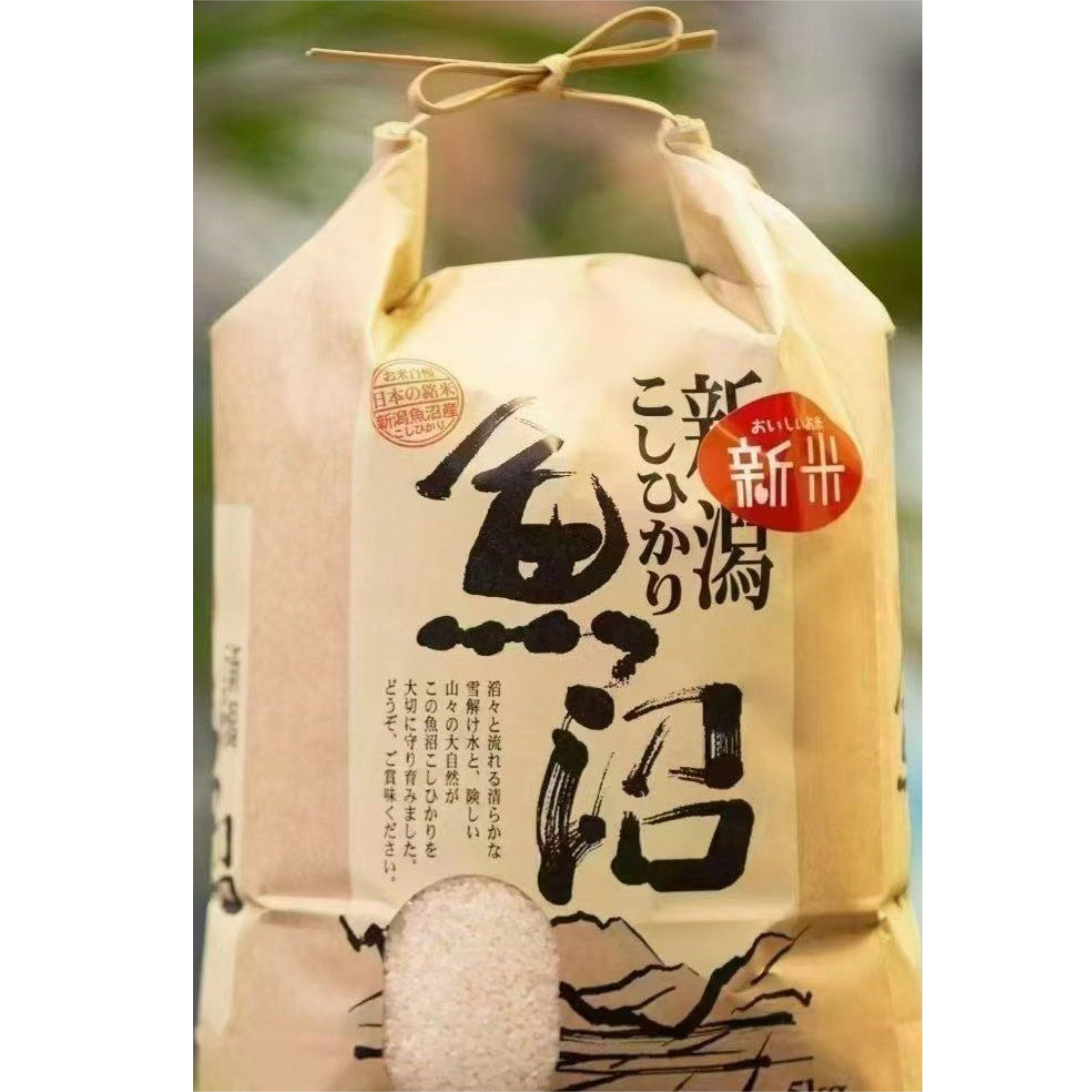 日本越光米米2kg5kg日本鱼沼产越光大米特A现货礼品料理店用